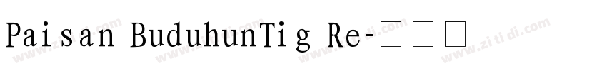 Paisan BuduhunTig Re字体转换